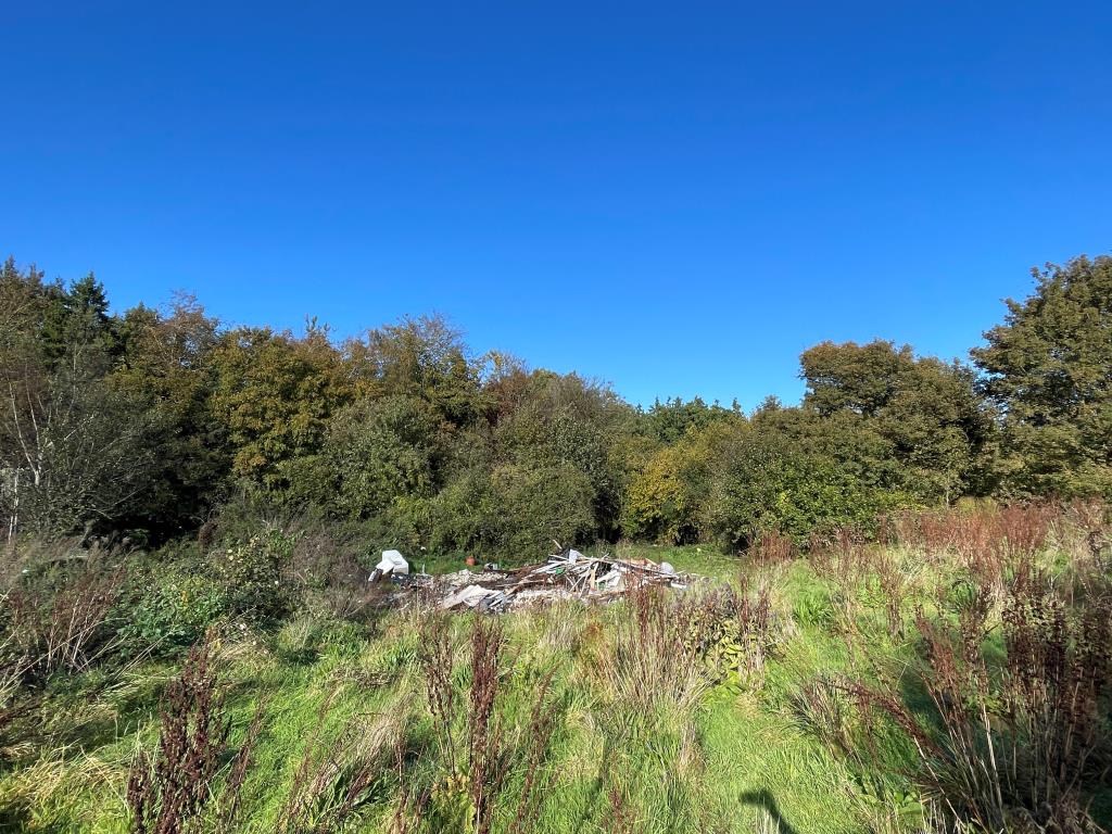 Lot: 97 - FREEHOLD PARCEL OF LAND - View of the land looking towards the road